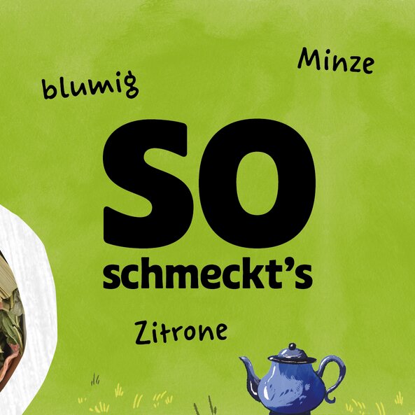 Text “This is how it tastes: floral, mint, lemon” next to illustration of a teapot